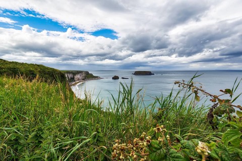 Coastline between Ballycastle and Ballintoy with sea view, grasses, Causeway Coastal Route, Antrim,