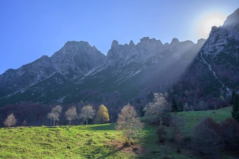 Sunbeam illuminates trees and meadow along the path of the big trees in the Piccolo Dolomiti,