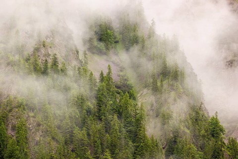 Wisps of mist cover the Karwendel mountains in the Großer Ahornboden nature reserve, Eng Valley,