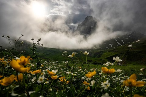 Peaks in the morning light and alpine landscape with dramatic clouds, Lech, Lechquellengebirge,