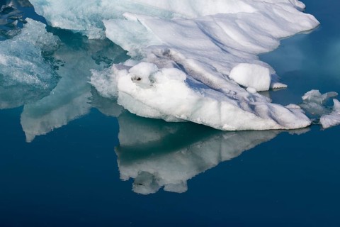 Icebergs on the Joekulsarlon glacial lake or lagoon