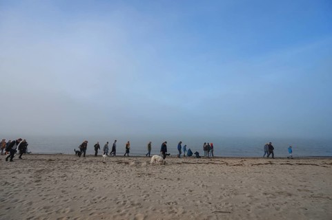 Beach walker with dogs at the Baltic Sea in the morning, Mecklenburg-Vorpommern, Germany, Europe