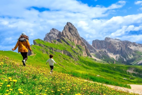 Tourists running through a field of wildflowers with the seceda peaks in the dolomites mountain