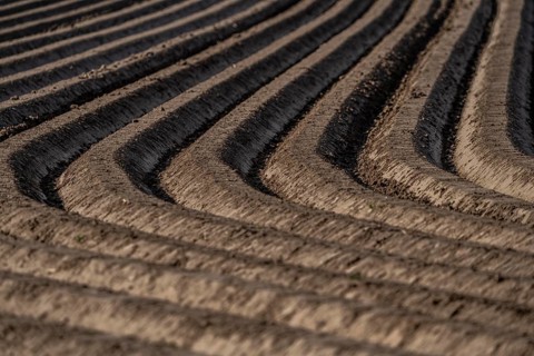 Spring, potato field, freshly grown potato ridges, near Kerken, Lower Rhine, North