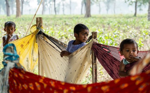 Children of tea plantation workers underneath a tent as their mothers pluck tea leaves at the Tea