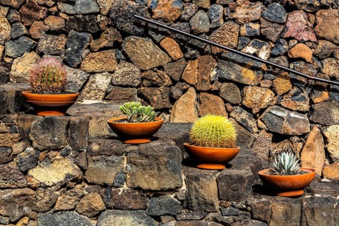 2016, Guatiza, Lanzarote, Jardin de Cactus by Cesar Manrique, ESP, Spain, Canary Islands, Canary