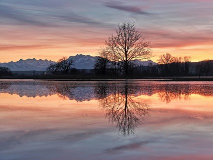 Pilatus reflected in the flooded nature reserve in the evening light, Reussspitz, Hünenberg, Canton