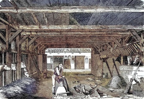 Cowshed and horse stable in a farmhouse in Lower Saxony, Deutschland, 1880 / Kuhstall und