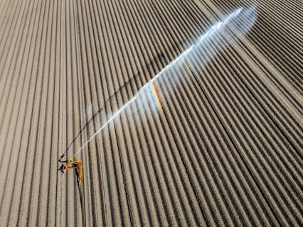 Artificial irrigation of a potato field in April, with a sprinkler system, long drought in spring