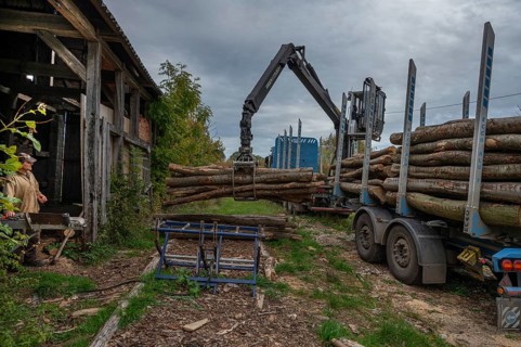 Unloading logs from a log transporter, Othenstorf Estate, Mecklenburg-Western Pomerania, Germany,