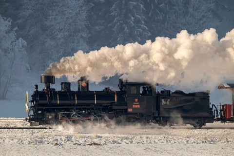 Zillertalbahn, steam locomotive with tender, New Year's Eve train, Zillertal, Tyrol, Austria,