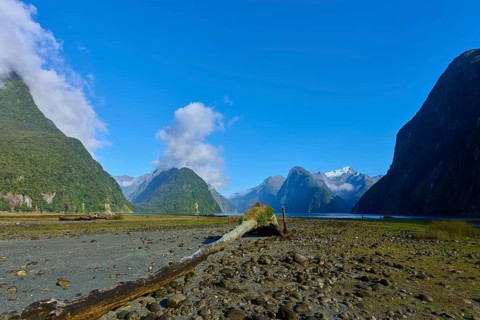 Fascinating nature with mountains and fjord shores under a clear sky, summer, Milford Sound, Te