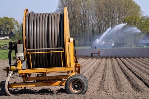 Artificial irrigation of a potato field in April, with a sprinkler system, long drought in spring