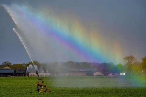 Artificial irrigation of a cereal field in April, with a sprinkler system, long dry spell in spring