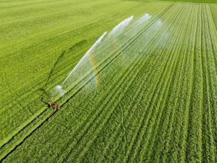Artificial irrigation of a cereal field in April, with a sprinkler system, long dry spell in spring