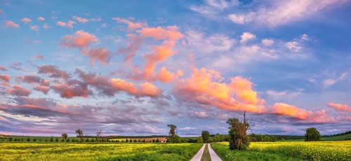 Straight field path made of concrete slabs through typical field landscape in spring in the