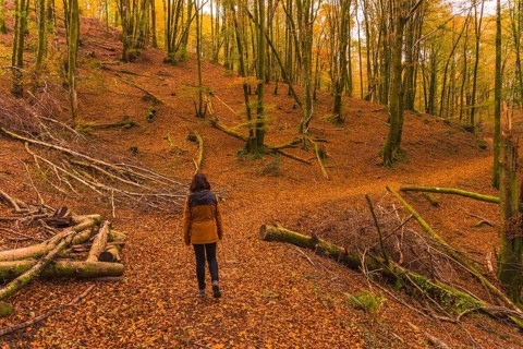Lifestyle, a young brunette in a yellow jacket walking along the forest path in autumn. Artikutza