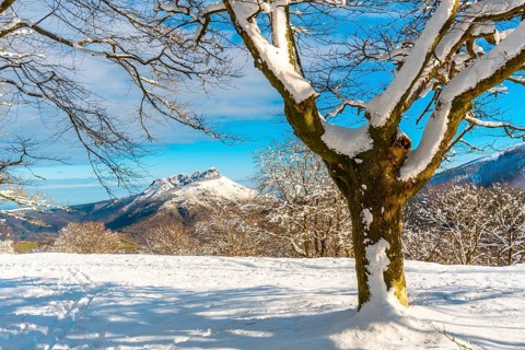 The Oianleku natural park at sunrise in the town of Oiartzun and in the background Mount Peñas de