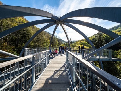 Baumwipfelpfad, Treetop walkway through a forest in autumn, Bad Harzburg, Harz mountain range,