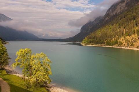 Early morning at the Sylvenstein reservoir, Reservoir in the Isarwinkel, municipality of Lenggries,