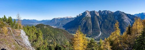 Autumnal mountain forest, yellow-coloured larches, ascent to the Große Arnspitze, view of mountain