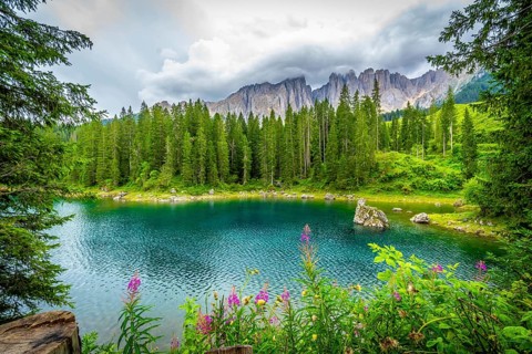 Stunning turquoise water of lake carezza reflecting latemar mountain range and surrounded by lush