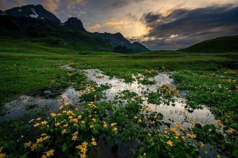 Summit in the morning light with dramatic clouds and marsh marigolds (Caltha) with stream in the
