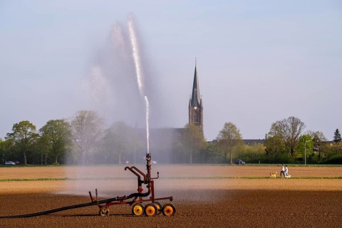 Artificial irrigation of a field, freshly sown, in April, with a sprinkler system, long drought in