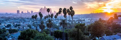 Los Angeles skyline with palm trees and downtown panorama at sunset in California in Los Angeles,