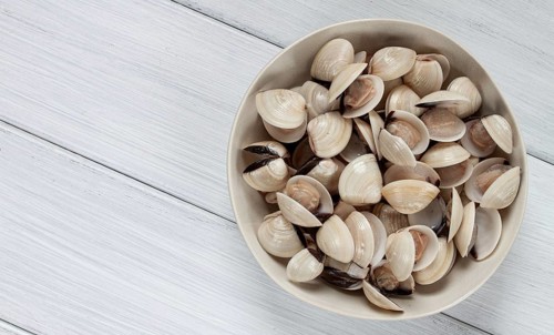 Freshly frozen vongole clams, on a light plate, top view, no people