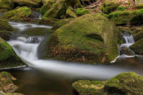Kleine Ohe creek below Waldhaeuser village in the Bavarian Forest Nationalpark. Flowing water,