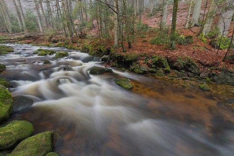 Kleine Ohe creek below Waldhaeuser village in the Bavarian Forest Nationalpark. Flowing water and