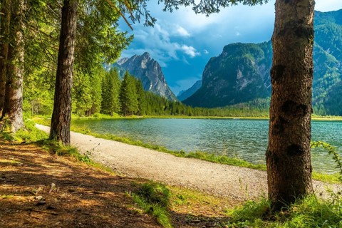 Wonderful alpine landscape showing lake dobbiaco with the dolomites in the background, in summer,
