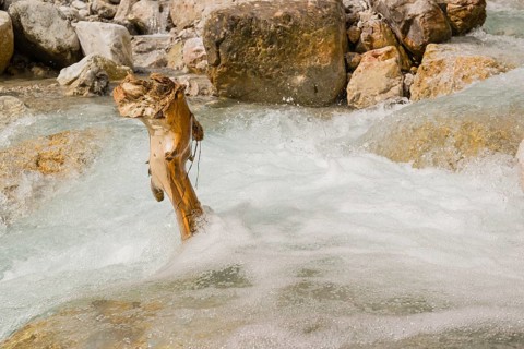 The Enger-Grund creek flowing fast through the Eng valley, Tyrol, Austria, Europe