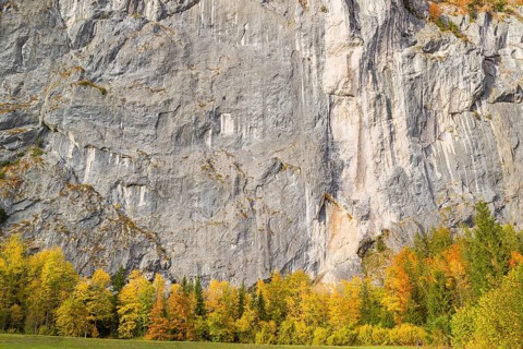 Gößler Wand in autumn. It is a rockwall of 180 m height between the lakes Toplitzsee and Grundlsee.