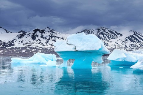 Iceberg, ice floe from calving Monacobreen glacier floating in the Liefdefjorden, fjord in Haakon