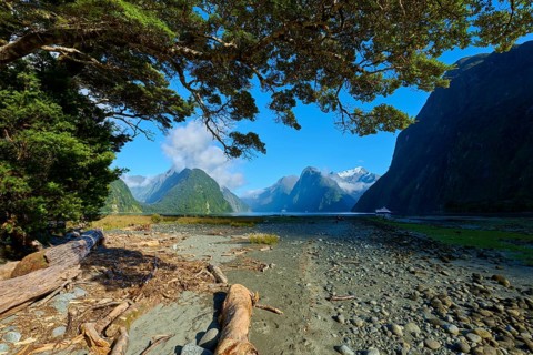 Impressive coastal landscape with mountains, blue sky and trees. Foreground shows driftwood and