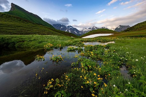 Summit in the morning light with dramatic clouds and marsh marigolds (Caltha) with stream in the