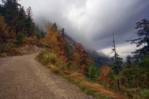 Gravel path in an autumnal forest under a cloudy sky by the mountains. Hike to the Herzogstand,