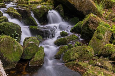Kleine Ohe creek below Waldhaeuser village in the Bavarian Forest Nationalpark. Flowing water,