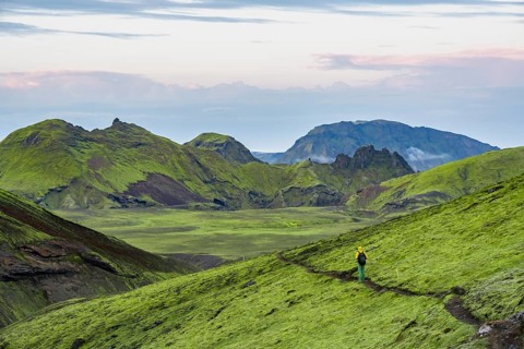 Hiker on a hiking trail, Moss-covered volcanic mountain landscape, Pakgil, Iceland, Europe