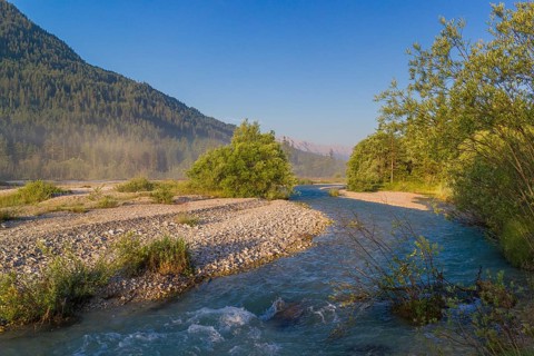 Isar valley nature conservancy area. The wild Isar river flows through its gravel bed past