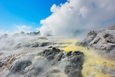 Prince of Wales and Pohutu geysers erupting, Te Puia Thermal Valley, Rotorua, Bay of Plenty, North