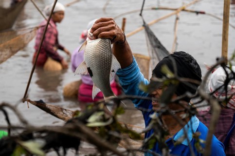 Villagers participate in a community fishing event on the occasion of the Bhogali Bihu festival at