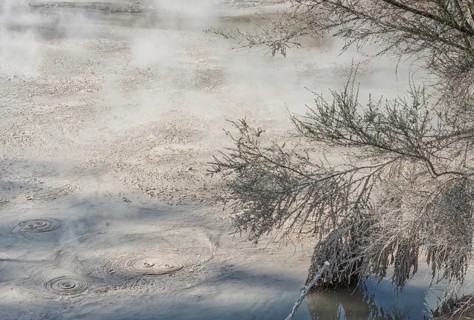 Hot bubbling mud pool, Waiotapu Thermal Park, Waiotapu, Rotorua, Bay of Plenty, North Island, New