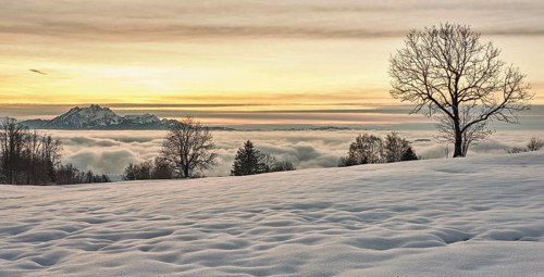 View from Zugerberg over the sea of fog in the light of the setting sun, behind the snow-covered