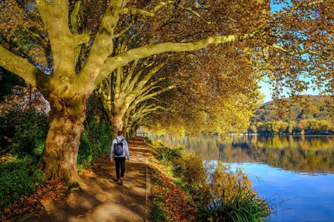 Essen, North Rhine-Westphalia, Germany - Golden autumn on Lake Baldeney