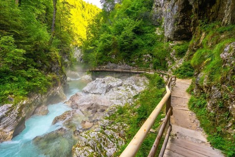 Scenic wooden walkway winding through the stunning vintgar gorge near bled, slovenia, offering