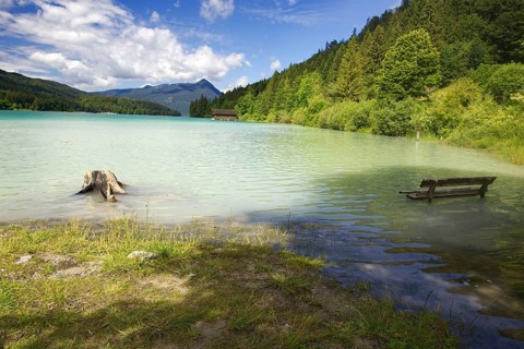 A shore with a tree stump and a bench, flooded by the lake with forested mountains, Walchensee,
