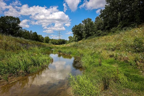 Bottrop, North Rhine-Westphalia, Germany, Renaturalised Boye, the tributary of the Emscher, has